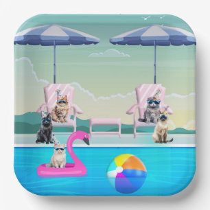 Katzenpool-Party Pappteller