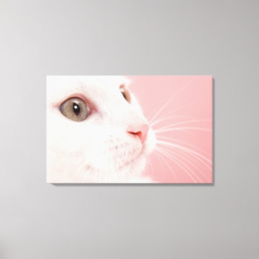 Katzenportrait Leinwanddruck (Vorderseite)