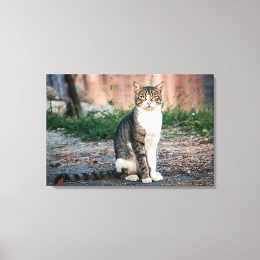 Katzenportrait Leinwanddruck (Vorderseite)