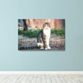 Katzenportrait Leinwanddruck (Insitu (Holzboden))