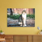 Katzenportrait Leinwanddruck (Insitu (Wohnzimmer))