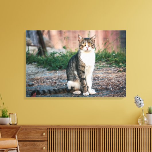 Katzenportrait Leinwanddruck (Insitu (Wohnzimmer))