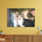 Katzenportrait Leinwanddruck (Insitu (Wohnzimmer))