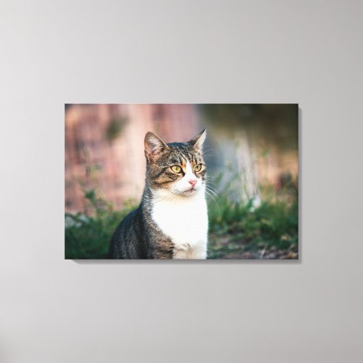 Katzenportrait Leinwanddruck (Vorderseite)