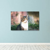 Katzenportrait Leinwanddruck (Insitu (Holzboden))