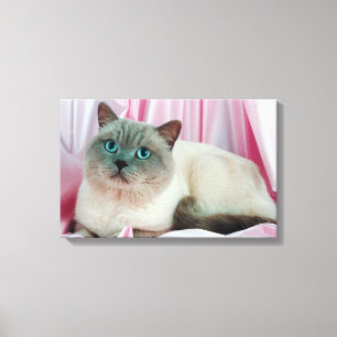 Katzenportrait Leinwanddruck