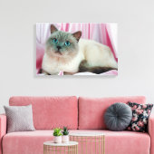Katzenportrait Leinwanddruck (Insitu (Wohnzimmer))