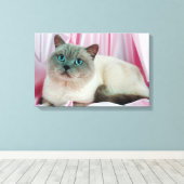Katzenportrait Leinwanddruck (Insitu (Holzboden))