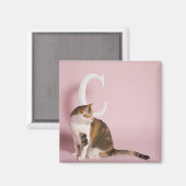 Katzenportrait Magnet (Vorderseite/Rückseite)