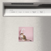 Katzenportrait Magnet (In Situ (Geschirrspüler))