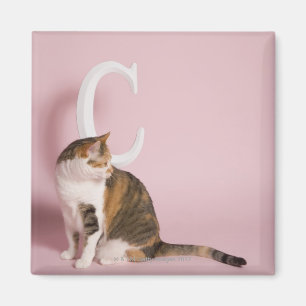 Katzenportrait Magnet
