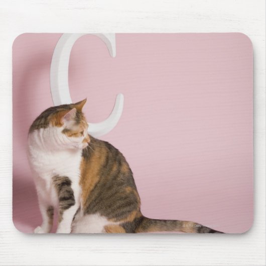 Katzenportrait Mousepad (Vorne)