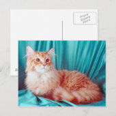 Katzenportrait Postkarte (Vorne/Hinten)