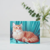 Katzenportrait Postkarte (Stehend Vorderseite)