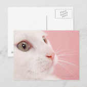 Katzenportrait Postkarte (Vorne/Hinten)