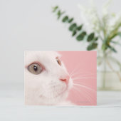 Katzenportrait Postkarte (Stehend Vorderseite)