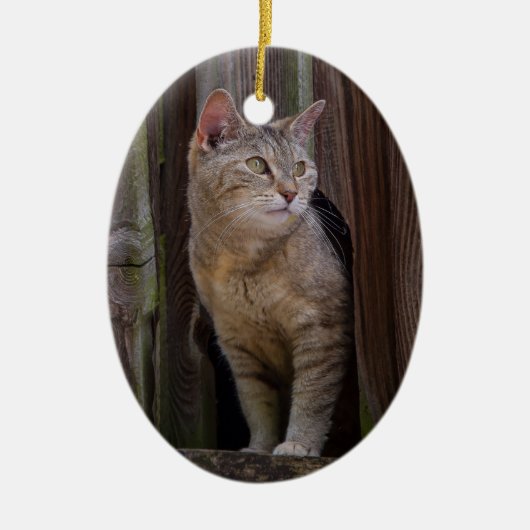 Katzenporzellanschmuck Keramik Ornament (Vorne)