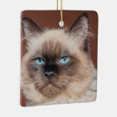 Katzenporzellanschmuck Keramikornament (Rechts)