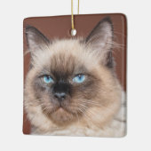 Katzenporzellanschmuck Keramikornament (Links)