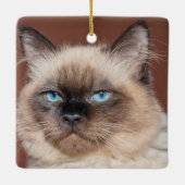 Katzenporzellanschmuck Keramikornament (Rückseite)