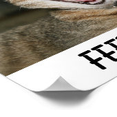 Katzenposter Poster (Ecke)