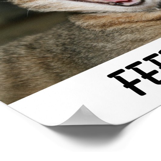 Katzenposter Poster (Ecke)