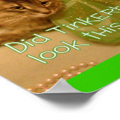 Katzenposter Poster (Ecke)