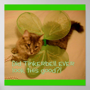 Katzenposter Poster