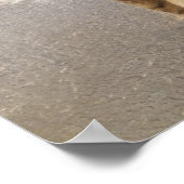 Katzenposter Poster (Ecke)