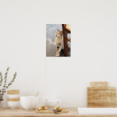 Katzenposter Poster (Küche)