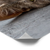 Katzenposter/Print Poster (Ecke)