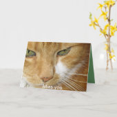 Katzenpostkarte Karte (Gelbe Blume)