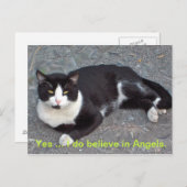 Katzenpostkarte mit humanem Sprichwort Postkarte (Vorne/Hinten)
