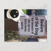 Katzenpostkarte Postkarte (Vorderseite)