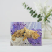 Katzenpostkarte Postkarte (Stehend Vorderseite)