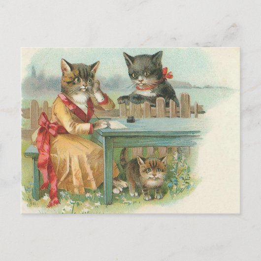 Katzenpostkarte Postkarte (Vorderseite)