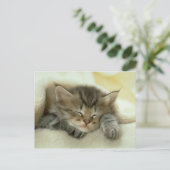 Katzenpostkarte Postkarte (Stehend Vorderseite)