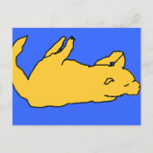 Katzenpostkarte Postkarte (Vorderseite)