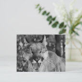 Katzenpostkarte Postkarte (Stehend Vorderseite)