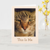 Katzenpuppe - Gute Karte (Gelbe Blume)