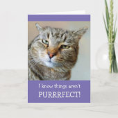 Katzenpuppe und Joke werden gut Karte (Vorderseite)