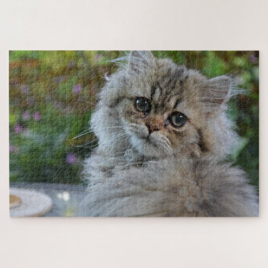 Katzenpuzzle Puzzle (Horizontal)