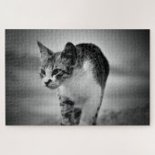 Katzenpuzzle suchen puzzle (Horizontal)