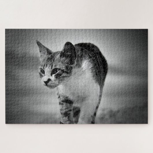 Katzenpuzzle suchen puzzle (Horizontal)