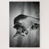 Katzenpuzzle suchen puzzle (Vertikal)