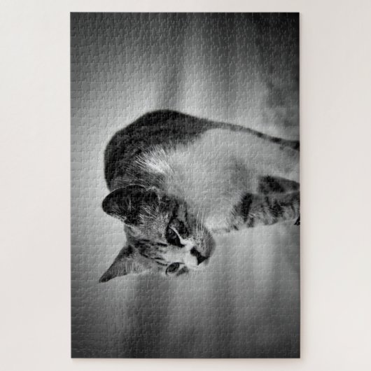 Katzenpuzzle suchen puzzle (Vertikal)