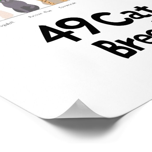 Katzenrasse Poster (Ecke)