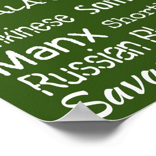 Katzenrassen Poster (Ecke)