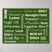 Katzenrassen Poster (Vorne)