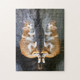 Katzenreflektion im Teichwasser, Spiel Puzzle